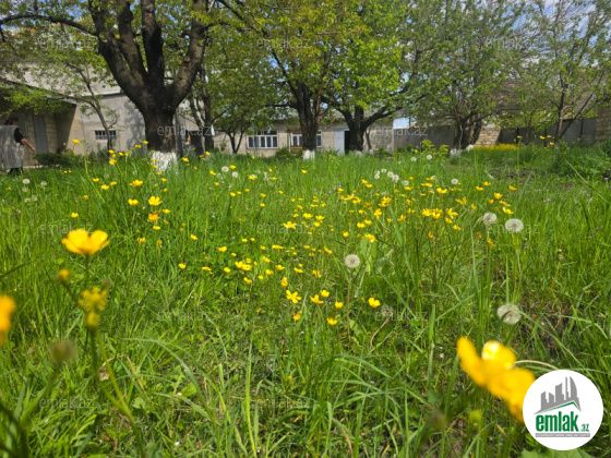 İcarəyə verilir 2 otaqlı 40 m² həyət evi Quba — Ev, villa (5)
