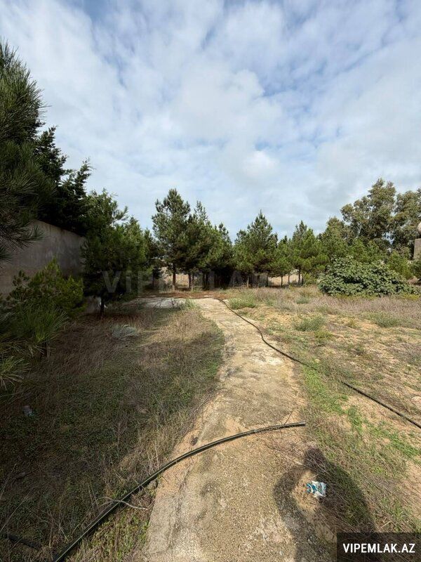 For sale: land, 12 sot — Torpaq, Bakı (3)