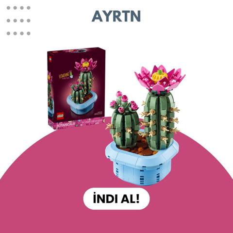 Lego Botanicals – Flowering Cactus dəsti - Mövzu: Botanicals — Bakı
