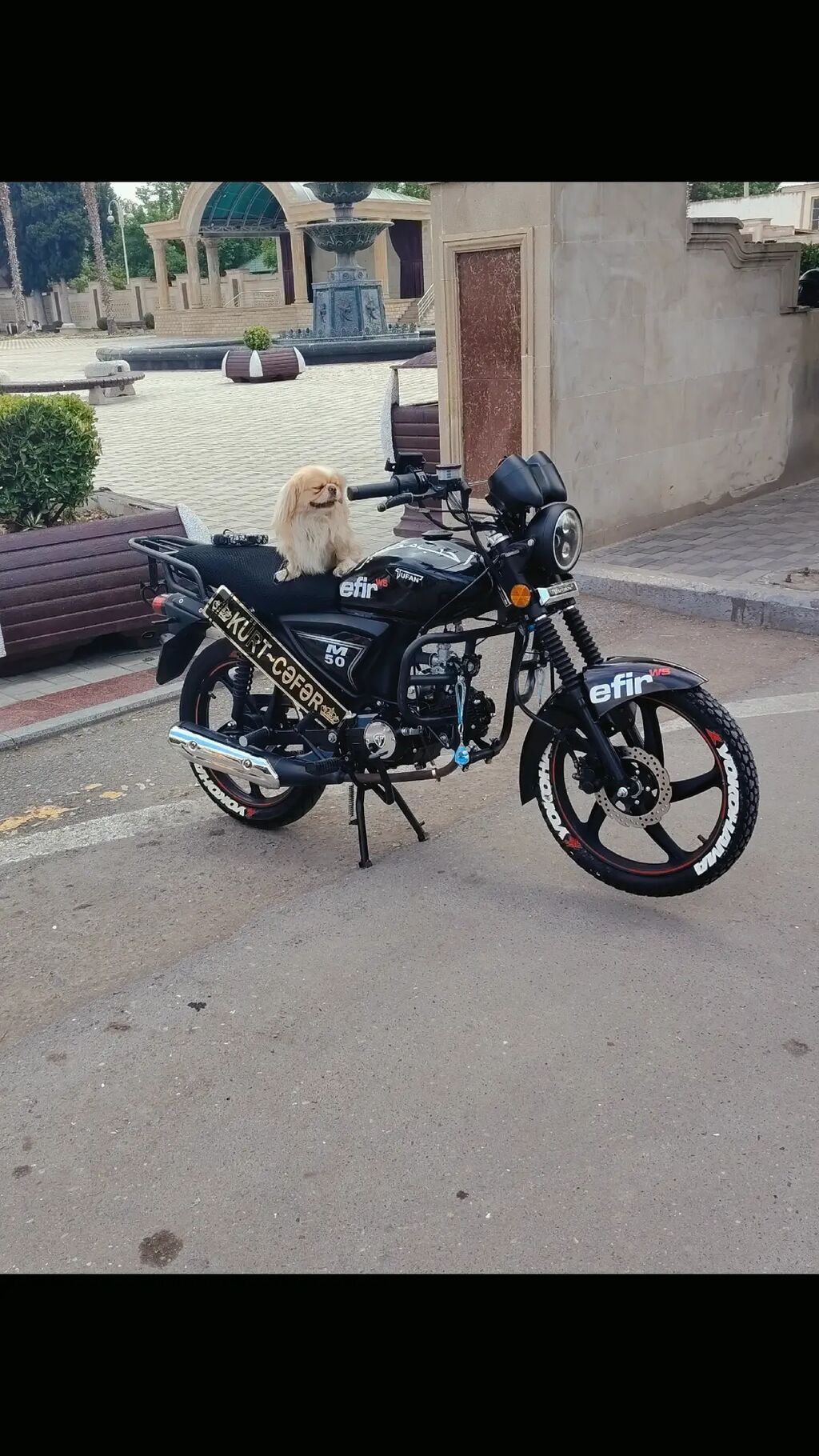 50 sm3 — Motosikletlər, Bərdə