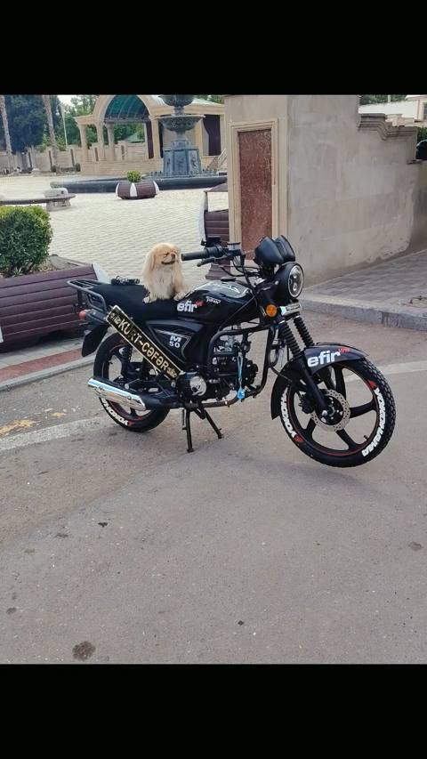 50 sm3 — 1 300 ₼ · Bərdə · Motosikletlər 50 sm3 — Bərdə