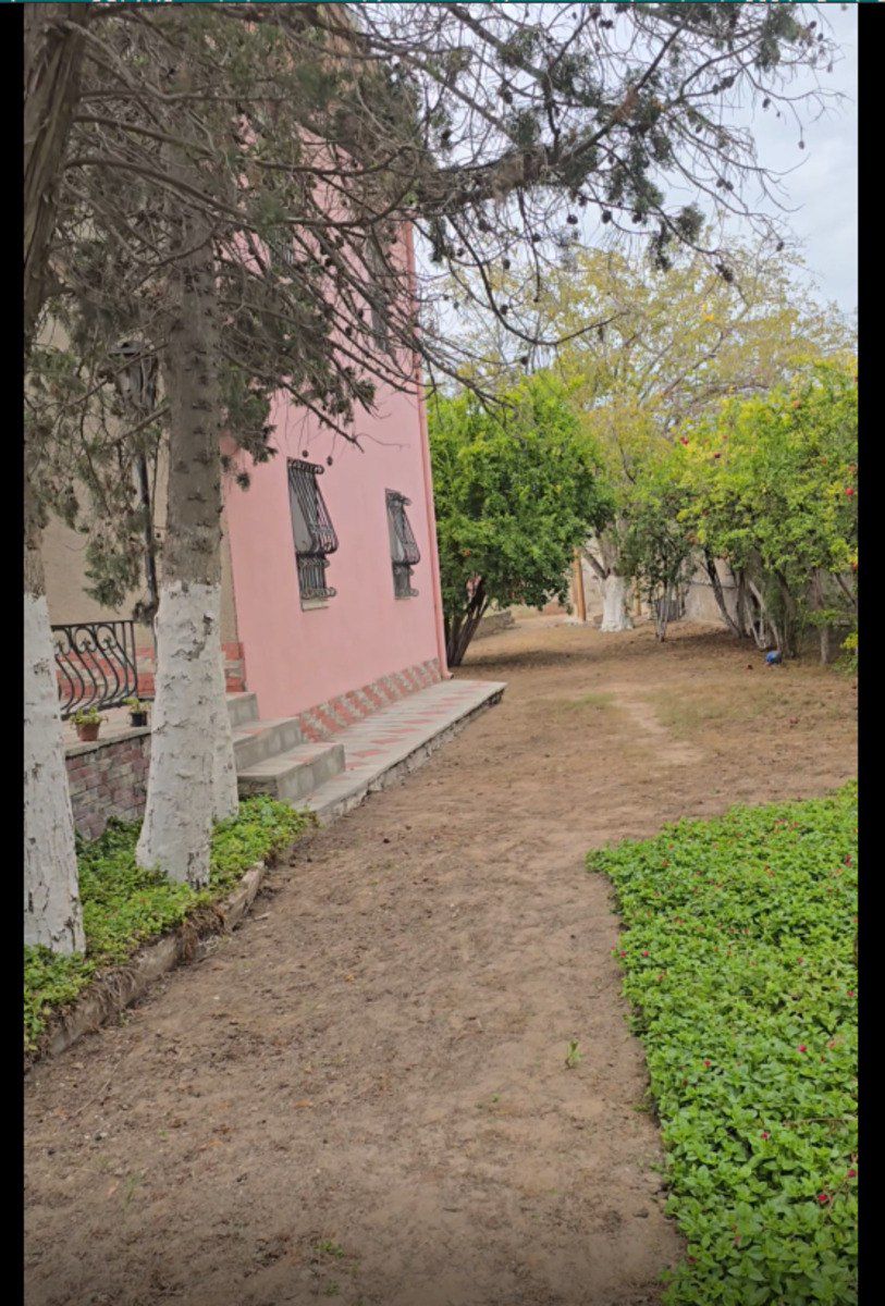 Satılır torpaq 4 sot — Torpaq, Bakı (2)