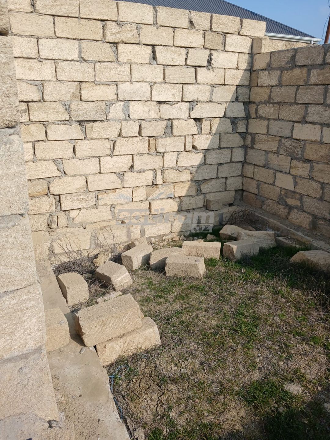 Musa mrzyev@gmail.com — Torpaq, Bakı (4)