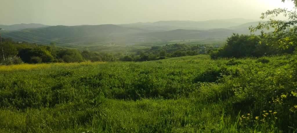 Satılır torpaq 75 sot — Torpaq, İsmayıllı (3)