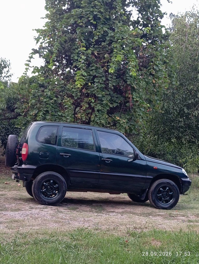 Chevrolet Niva, 1.7 L, 2003 il, 250 000 km 99-SA-864 — Avtomobillər, Astara (5)