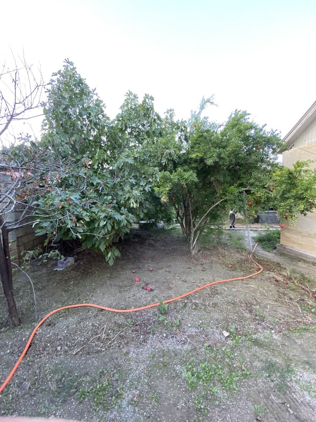 İcarəyə verilir 3 otaqlı həyət evi/bağ evi 90 m² — Ev, villa, Bakı (3)