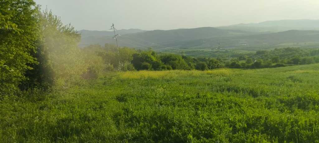 Satılır torpaq 75 sot — Torpaq, İsmayıllı (2)