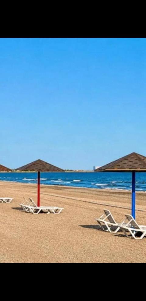 3 sot, Tikinti, Kupça (Çıxarış) — Bakı