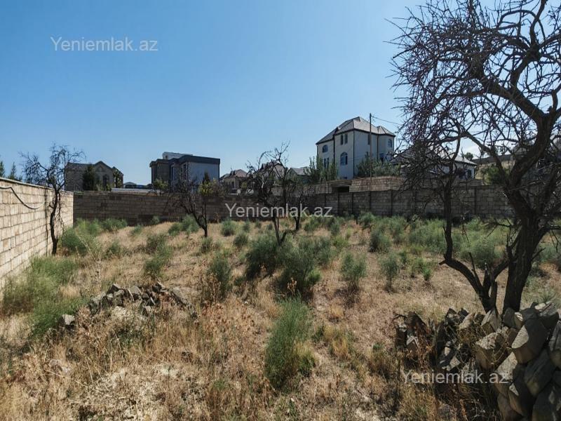 Satılır Torpaq sahəsi, 10 sot, Saray — Torpaq, Abşeron (5)