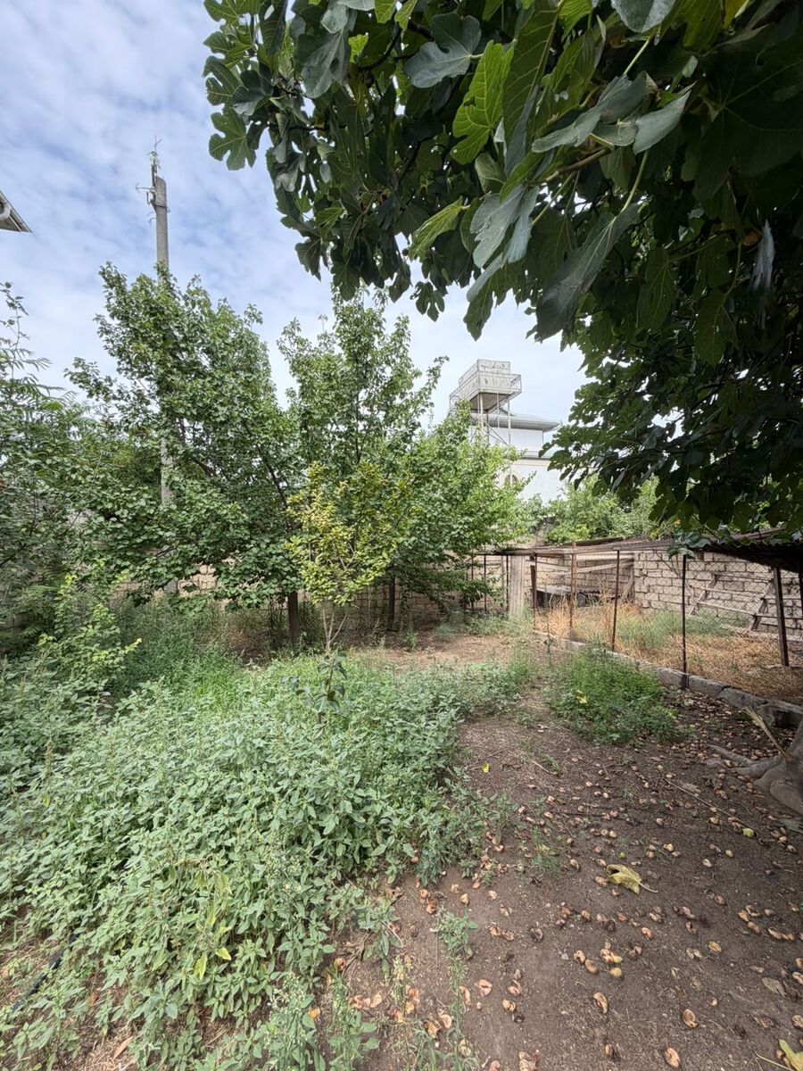 Satılır torpaq 4 sot — Torpaq, Bakı (4)