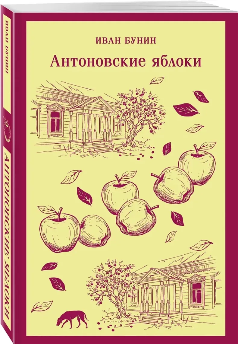 Антоновские яблоки — Bakı