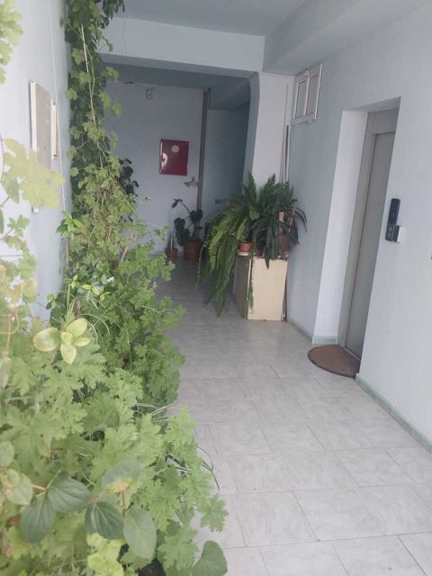 Satılır 4 otaqlı yeni tikili 160 m² — Bakı