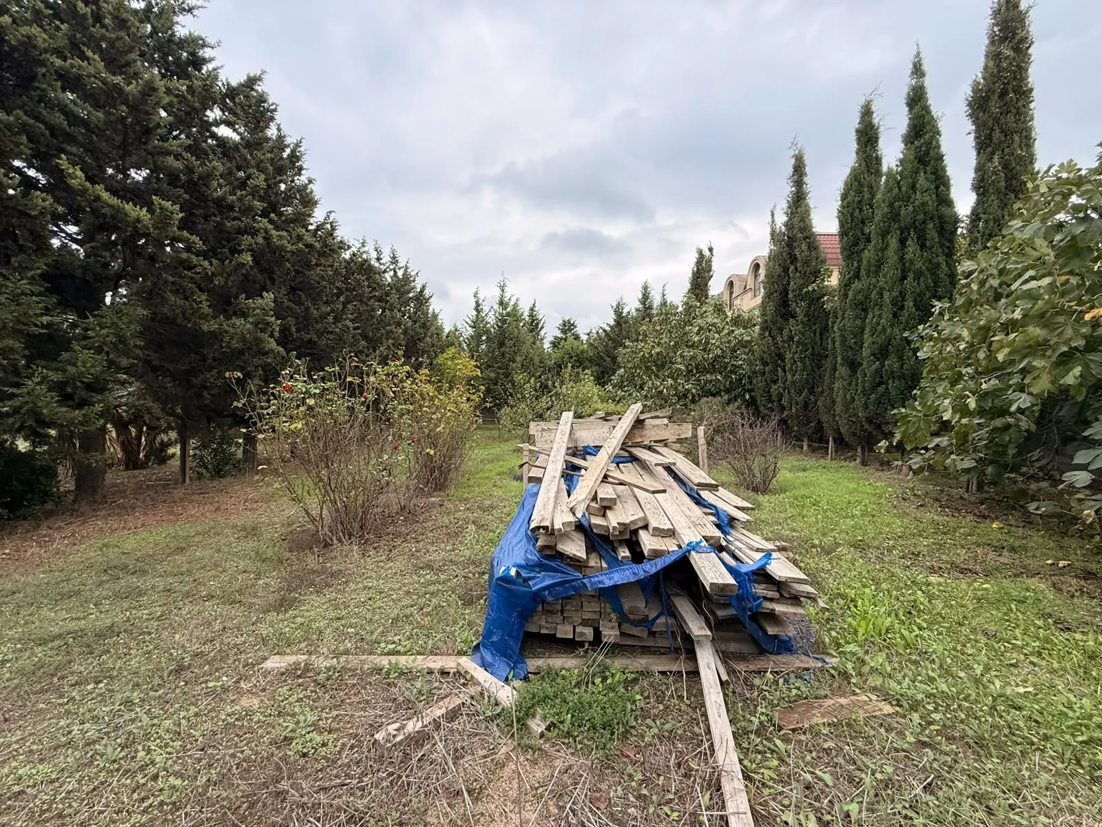Mərdəkan, Torpaq satılır - 24 sot — Torpaq, Bakı (7)