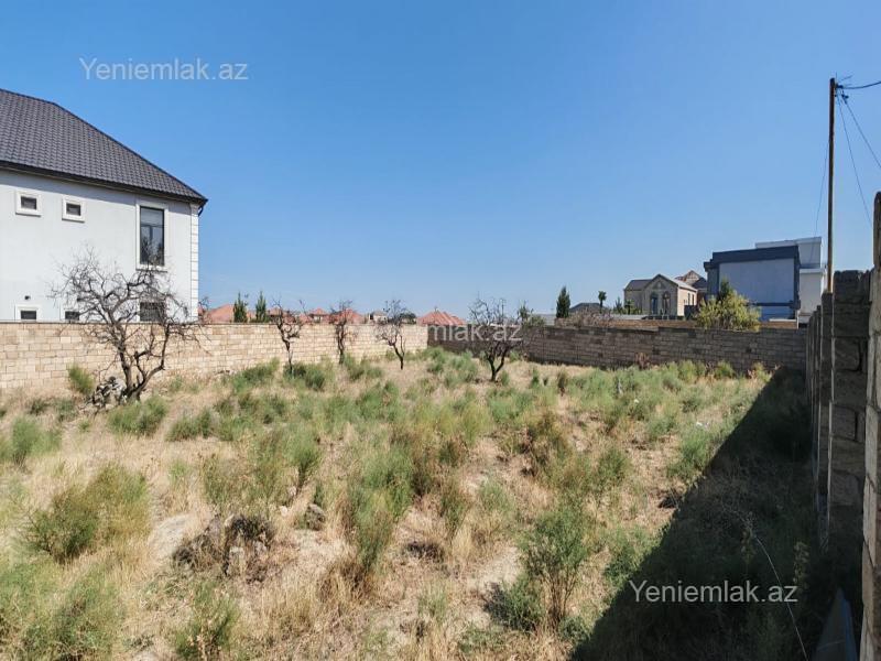 Satılır Torpaq sahəsi, 10 sot, Saray — Torpaq, Abşeron (3)