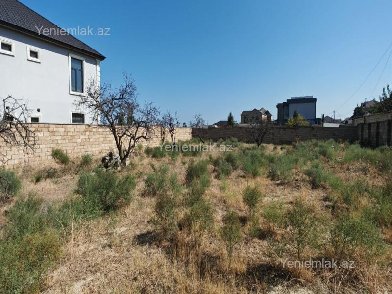 Satılır Torpaq sahəsi, 10 sot, Saray — Torpaq, Abşeron (4)