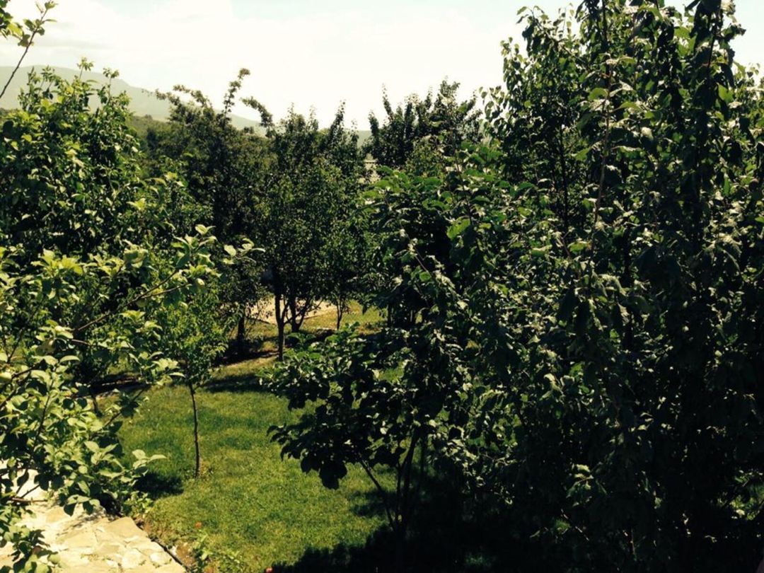 Satılır 10 otaqlı həyət evi/bağ evi 800 m² — Ev, villa, İsmayıllı (6)