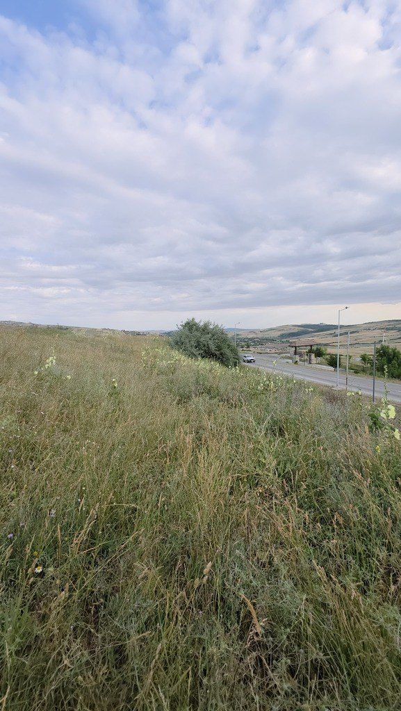 Satılır torpaq 53 sot — Torpaq, Şamaxı (4)