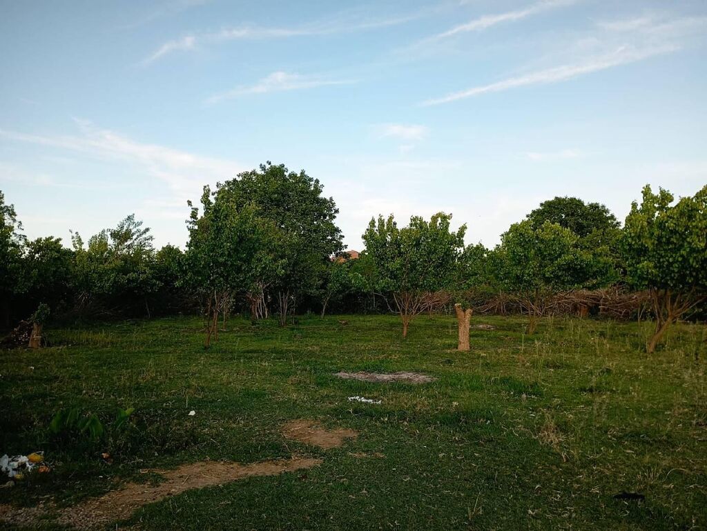 25 sot, Kənd təsərrüfatı, Mülkiyyətçi — Torpaq, Bakı (5)