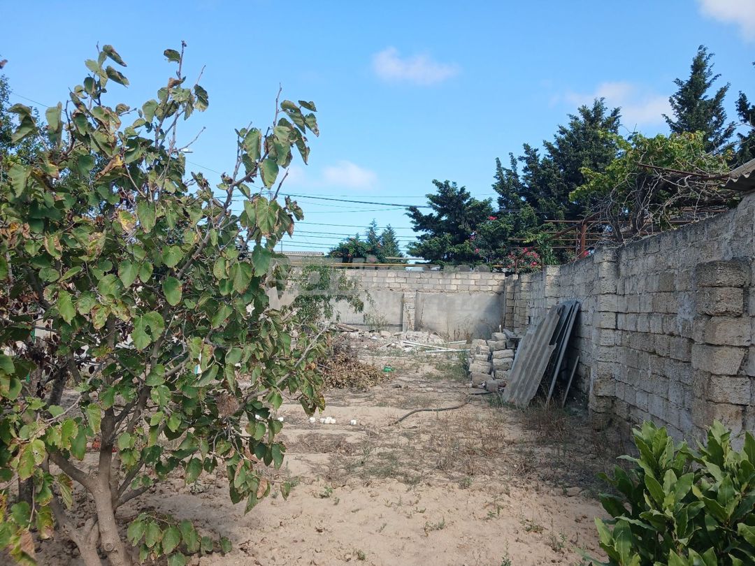 Torpaq satilir — Torpaq, Bakı (2)