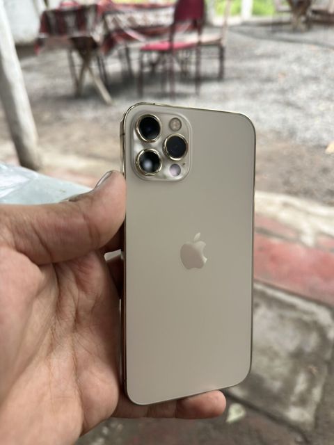 IPhone 12 Pro, 128 GB, Matte Gold — 410 ₼ · Gəncə · Apple iPhone IPhone 12 Pro, 128 GB, Matte Gold — Gəncə