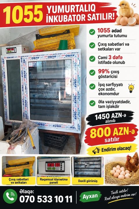 1100 yumurta, Tam avtomat — Digah
