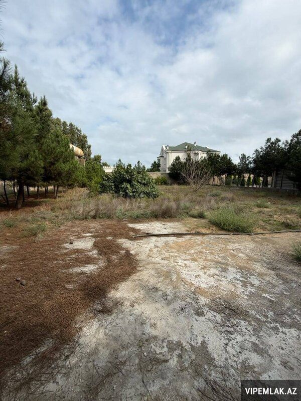 For sale: land, 12 sot — Torpaq, Bakı (7)