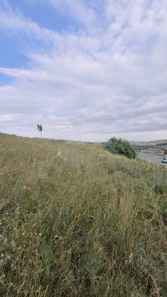 Satılır torpaq 53 sot — Torpaq, Şamaxı (5)