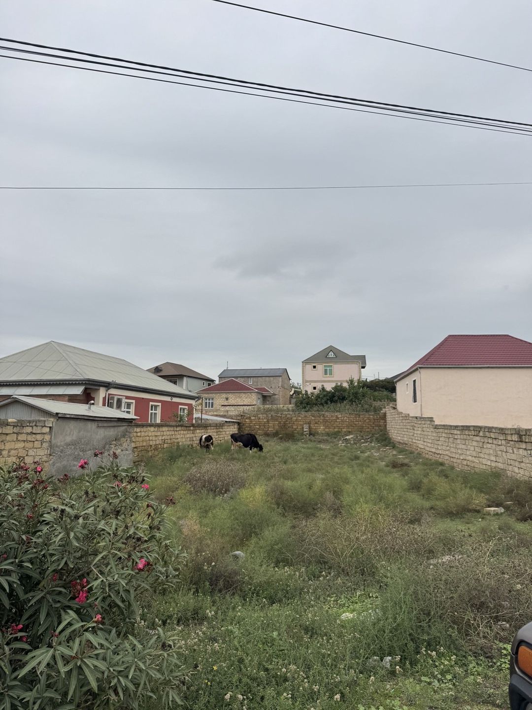 Satılır torpaq 5 sot — Torpaq, Bakı (3)