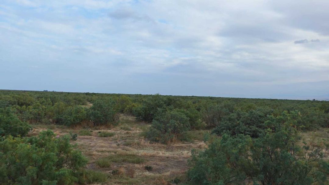 Satılır torpaq 62 sot — Torpaq, Kürdəmir