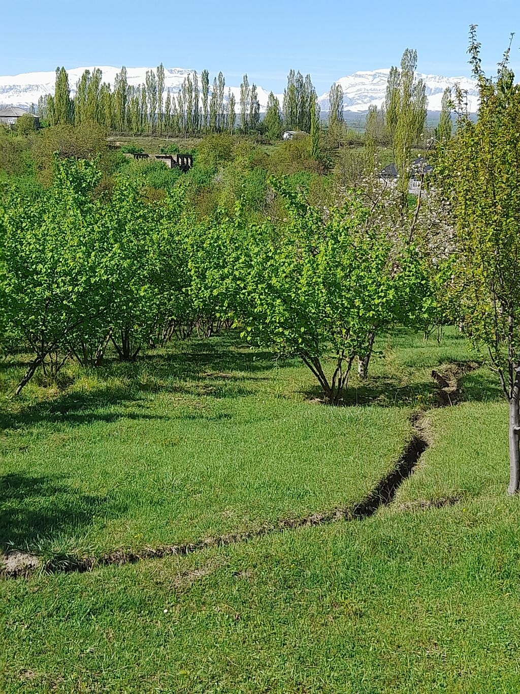 7 sot, Tikinti, Mülkiyyətçi, Kupça (Çıxarış) — Ağaclar və fidan, Qusar (2)