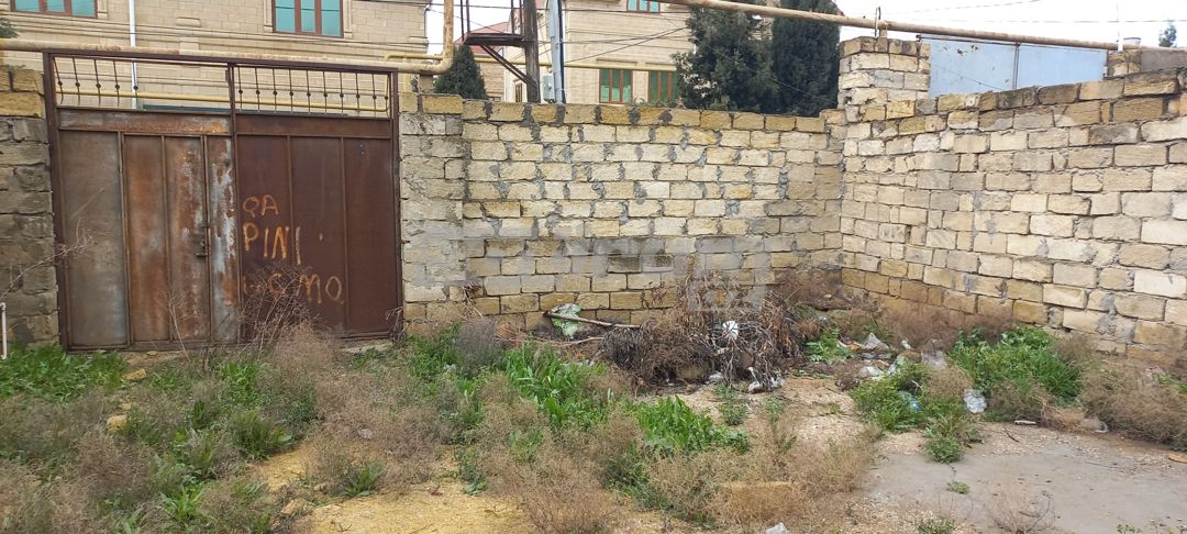 Bineqedi — Torpaq, Bakı (5)