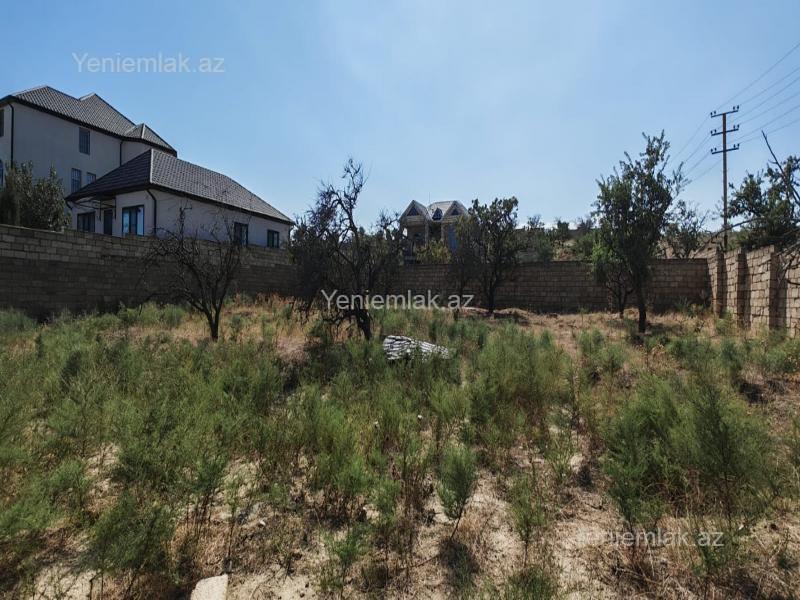 Satılır Torpaq sahəsi, 10 sot, Saray — Torpaq, Abşeron (2)