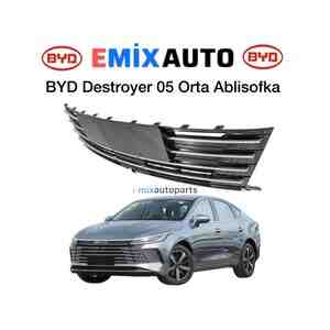 Byd Destroyer 05 orta radiator barmaqlığı — Bakı