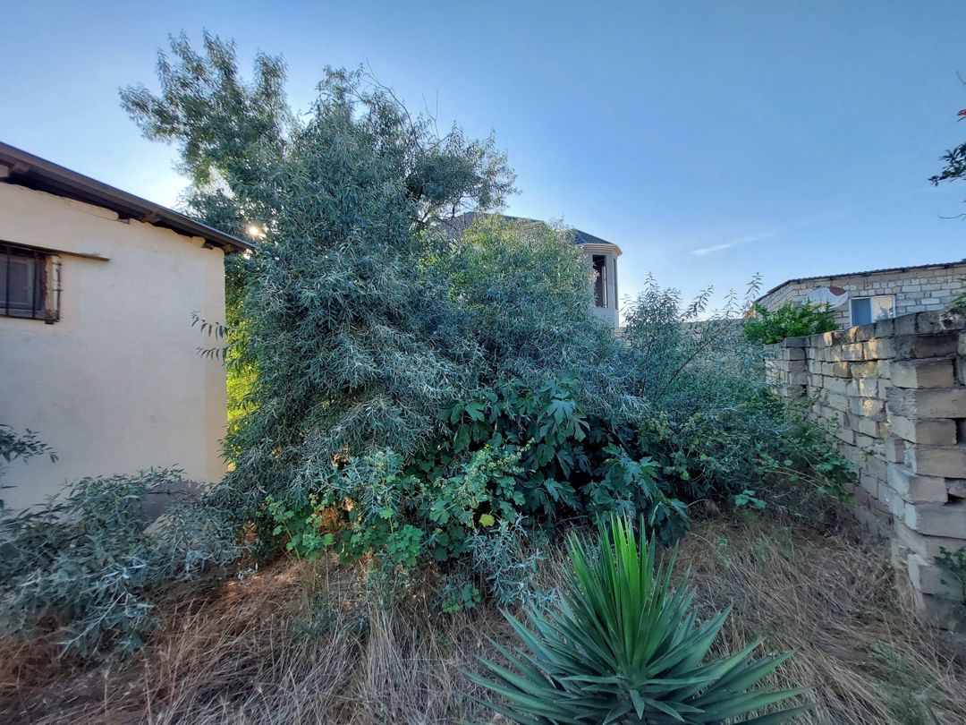 Satılır 3 otaqlı həyət evi/bağ evi 90 m² — Ev, villa, Bakı (9)