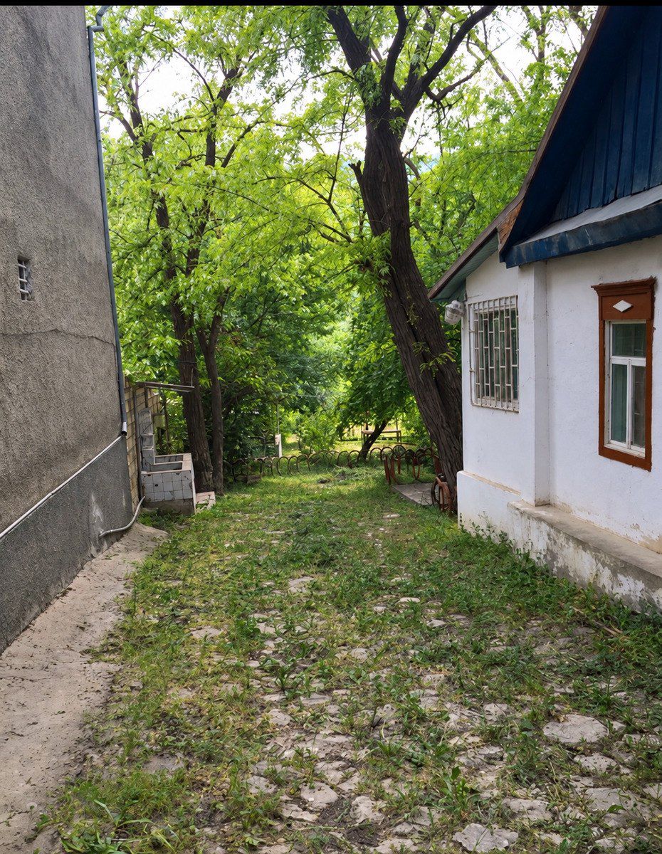 Satılır 4 otaqlı həyət evi/bağ evi 60 m² — Ev, villa, Xızı (3)