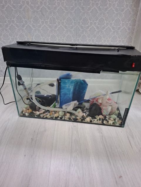 Dördbucaq akvarium, Boş, 100 l — 70 ₼ · Masazır · Akvariumlar və balıqlar Dördbucaq akvarium, Boş, 100 l — Masazır