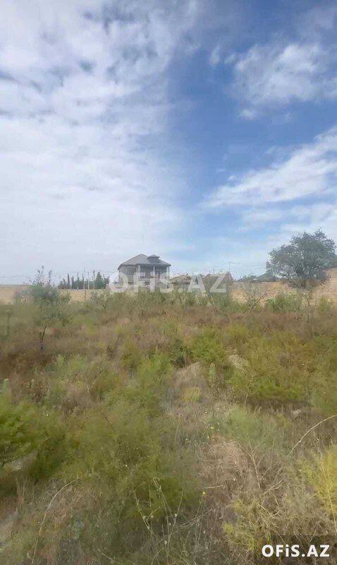 Torpaq Satılır Abşeron r., Saray q., 12 sot — Torpaq sahəsi