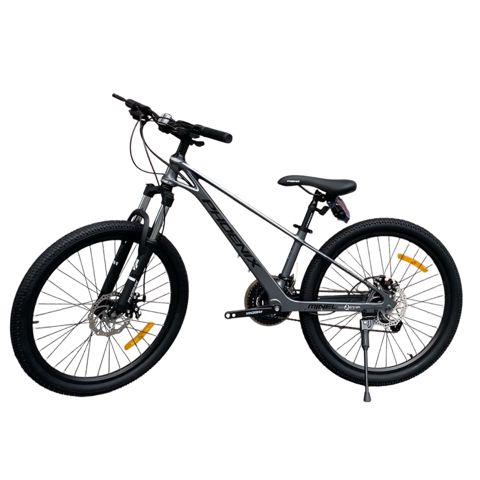 Velosiped Phoenix, boz — Birmarket (Umico) — Bicycles