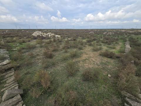 8 sot, Tikinti, Mülkiyyətçi, Bələdiyyə — 24 000 ₼ · Digah · Torpaq 8 sot, Tikinti, Mülkiyyətçi, Bələdiyyə — Digah