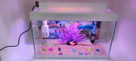 Akvarium dəsti Aquazoo, 20 l, şəffaf — Bakı