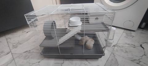 Hamster üçün tam dəst qəfəs - Uç mərtəbəli metal barmaqlıqlı qəfəs — 60 ₼ · Xırdalan · Qəfəslər Hamster üçün tam dəst qəfəs - Uç mərtəbəli metal barmaqlıqlı qəfəs — Xırdalan