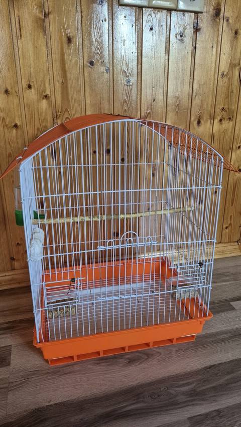 Nimfa (cockatiel) cütü və qəfəs dəsti -Quşların biri erkək biri — 120 ₼ · Sumqayıt · Qəfəslər Nimfa (cockatiel) cütü və qəfəs dəsti -Quşların biri erkək biri — Sumqayıt