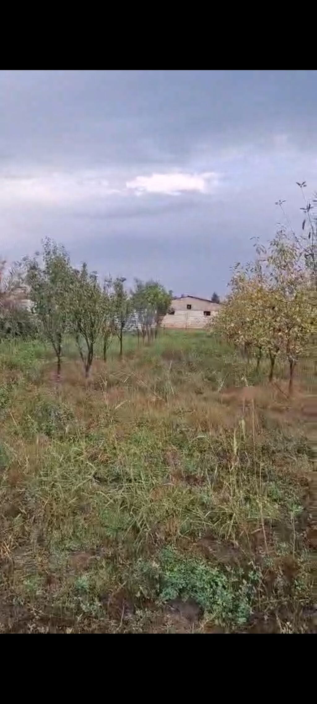 23 sot, Kənd təsərrüfatı, Mülkiyyətçi