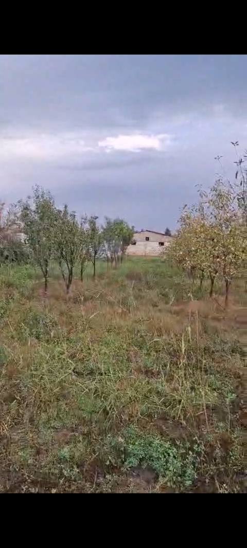 23 sot, Kənd təsərrüfatı, Mülkiyyətçi — 20 000 ₼ · Barda · Torpaq 23 sot, Kənd təsərrüfatı, Mülkiyyətçi — Barda