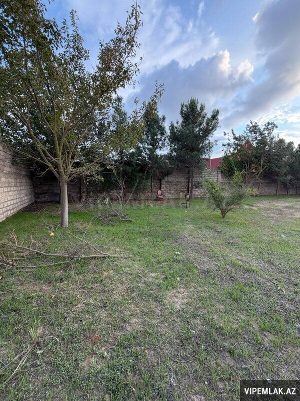 For sale: land, 4 sot — Torpaq, Bakı (4)