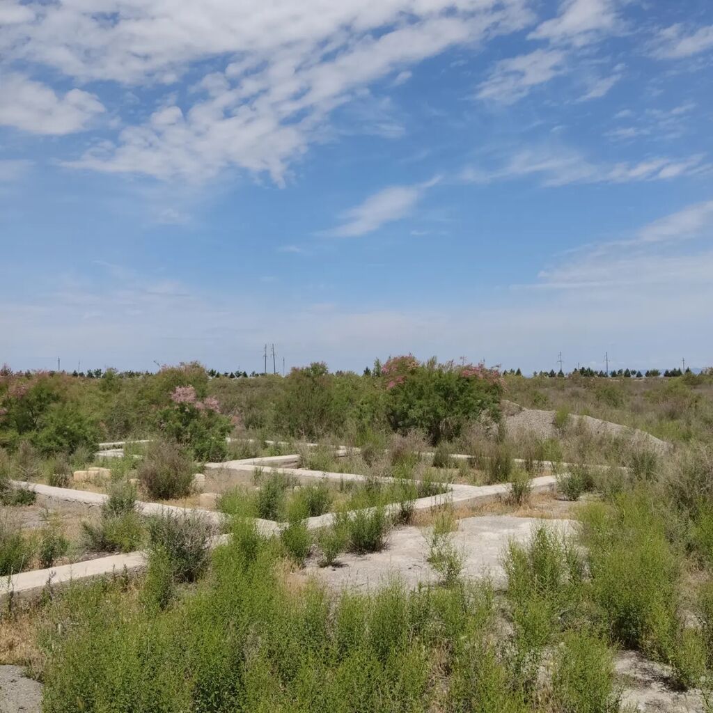 Tikinti — Torpaq, Ucar (3)