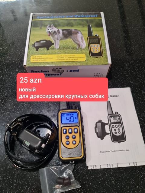Elektron it təlim yaxalığı və pult dəsti - Böyük cins itlərin təlimi — Animals
