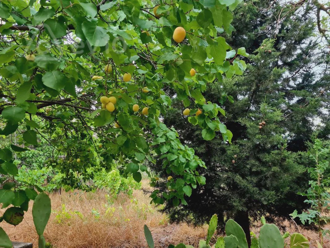 For sale: 3-room house / Cottage / Villa, 180 m² — Ev, villa, Bakı (11)
