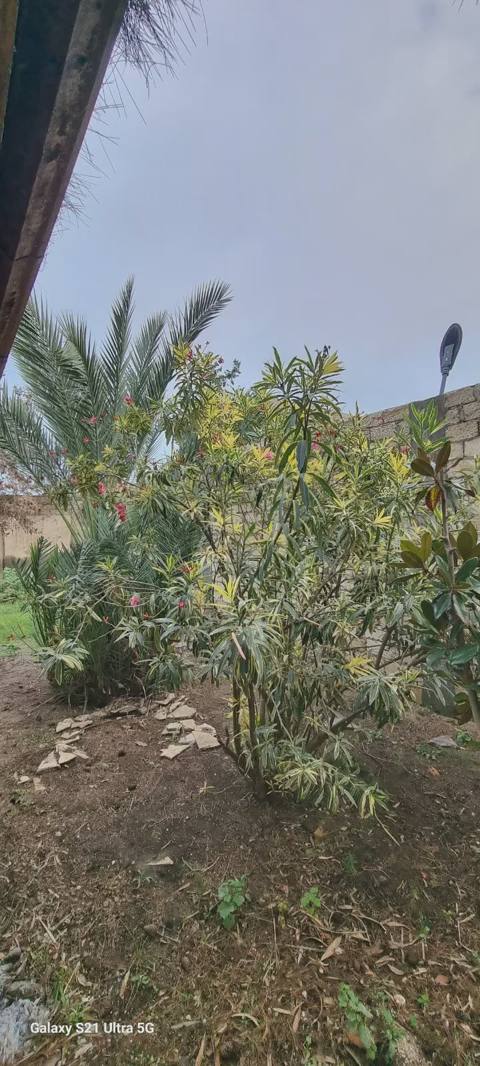 4 otaqlı həyət evi 300 m² satılır Bakı, Xəzər r — 350 000 ₼ · Баку · Ev, villa 4 otaqlı həyət evi 300 m² satılır Bakı, Xəzər r — Баку