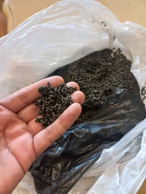 Salam Akvarium ücün qrunt akvarium bitkilərinin əkilməsi akvarium — Bakı